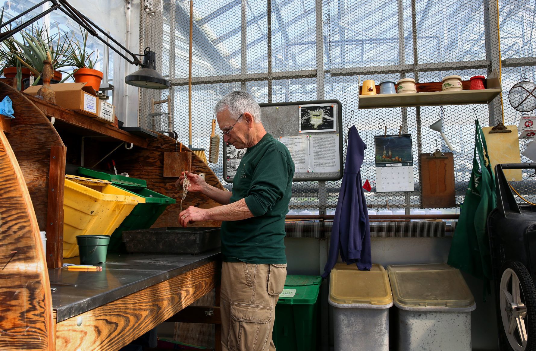 Longtime MoBot horticulturist retiring